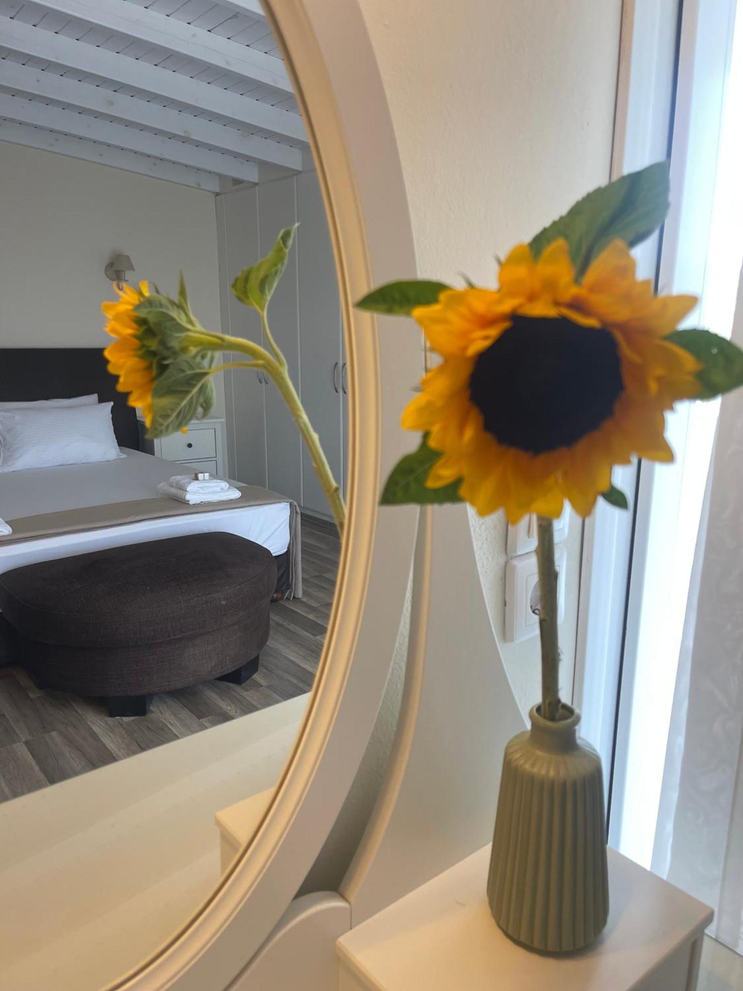 Villa Oasis Agios Ioannis (Corfu)
